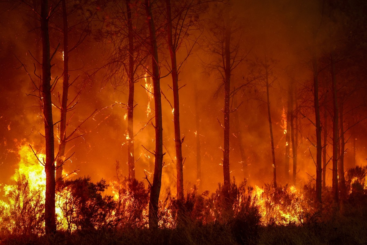 Marcon afirma que incêndio florestal representa situação mais difícil da França 'desde a Segunda Guerra'