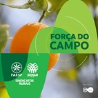 Desafios da citricultura