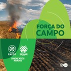 Regulamentação de ações de prevenção e combate a incêndios no Estado de SP