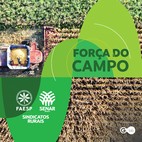 Desafios da Safra 2025 e 2026