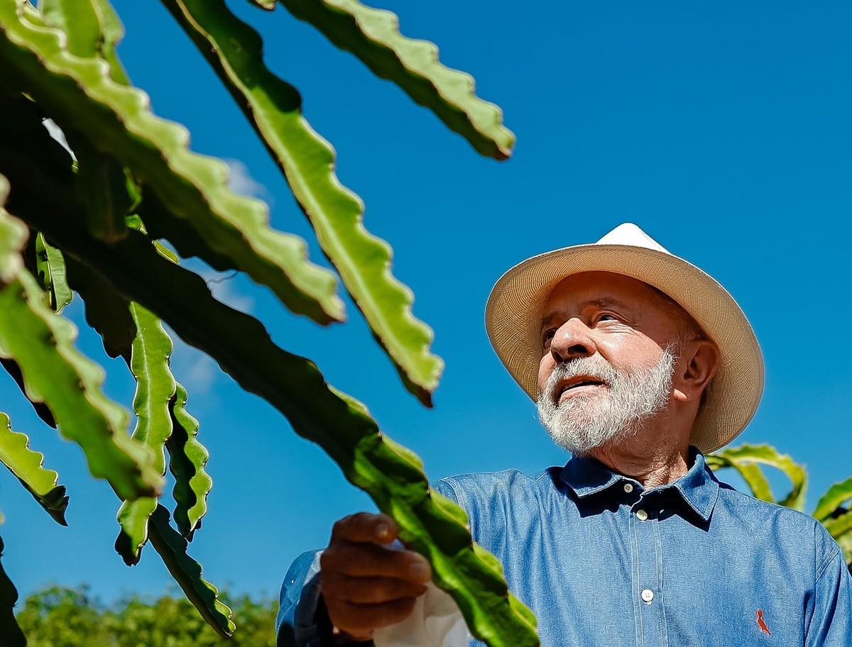 Lula diz que dará maracujá e jabuticaba  de presente para Trump 'se acalmar'