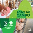 Influenza Aviária no Brasil