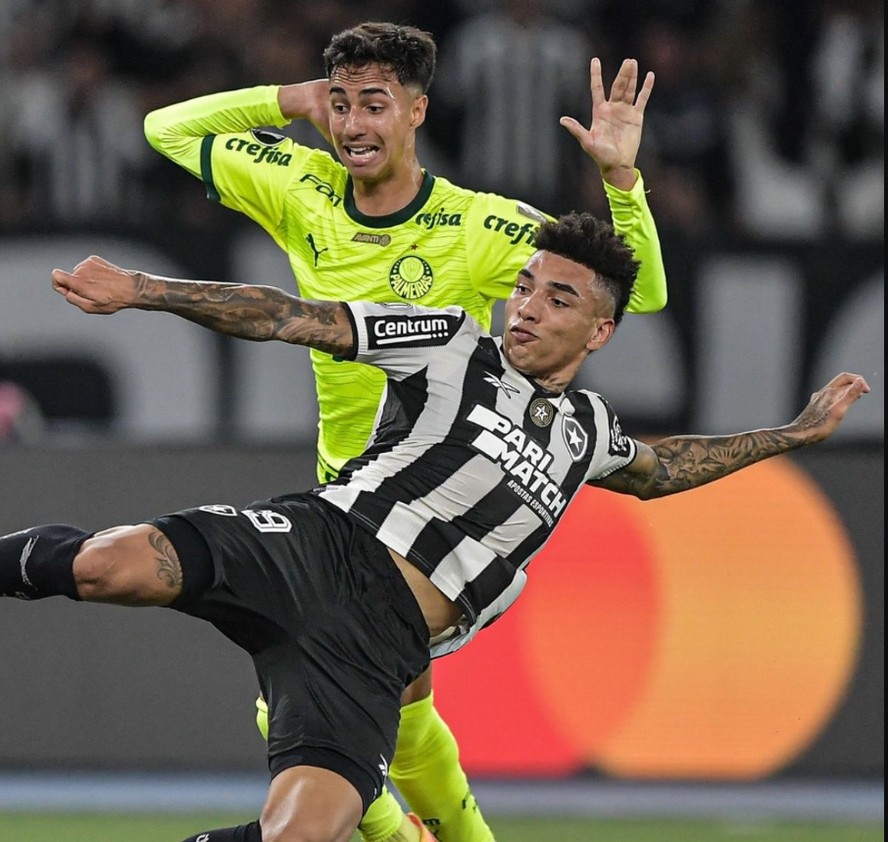 Palmeiras perde para o Botafogo por 2 a 1 na Libertadores