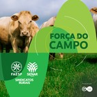 Plano Nacional de Identificação de Bovinos e Búfalos
