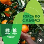 Propostas da Faesp na metodologia Fundecitrus