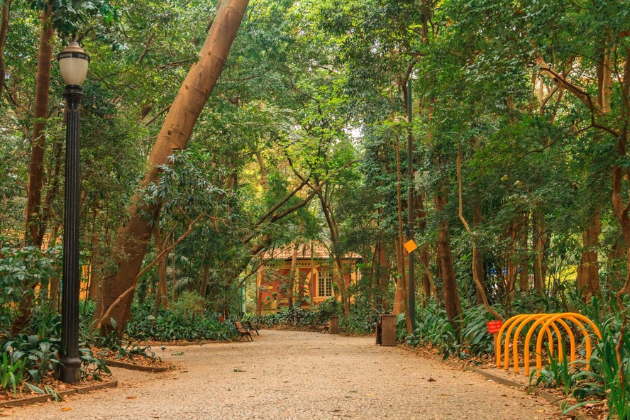Nunes defende obra de restaurante no Parque Trianon e diz que corte de ...