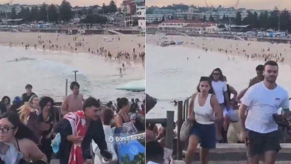 Vídeo mostra momento em que homem desarma atirador na Austrália; veja