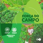 Decreto de Georreferenciamento