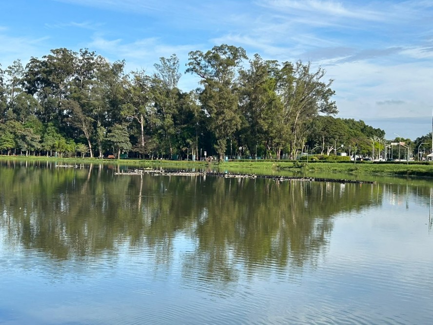 Após transbordamento, lago do Parque Ibirapuera passa por trabalho de ...
