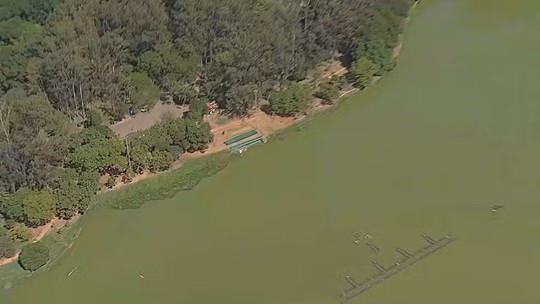 Corpo do homem encontrado dentro do lago do Parque Ibirapuera (SP) é identificado pela polícia