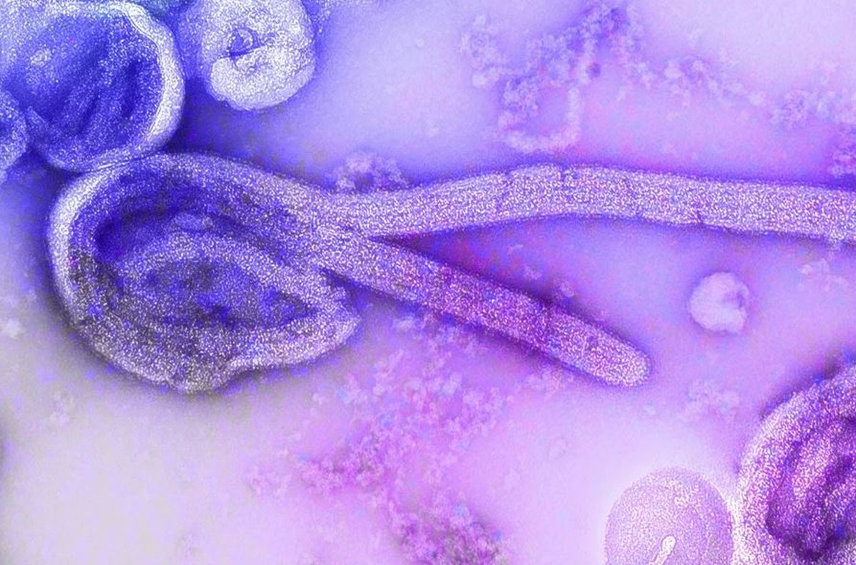 Trump afirma estar 'preocupado' com surto de Ebola na África