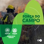 Combate à incêndios e queimadas