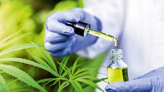 STJ discute importação e plantio de cannabis medicinal em audiência pública