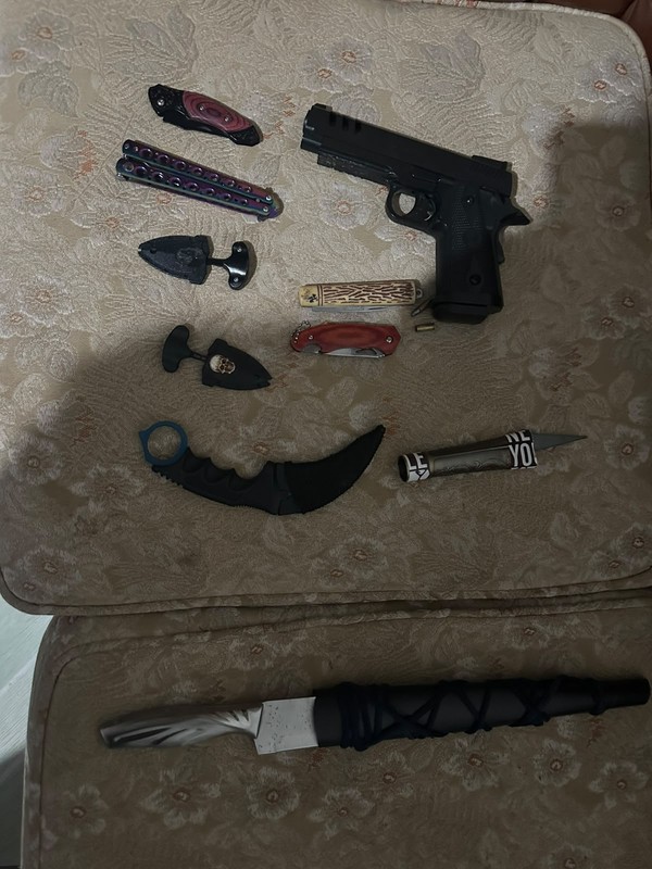 Armamentos encontrados em casa de um dos membros do grupo. — Foto: Divulgação/Polícia Civil do DF