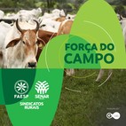 São José do Rio Preto vai ganhar um Centro de Genética Bovina