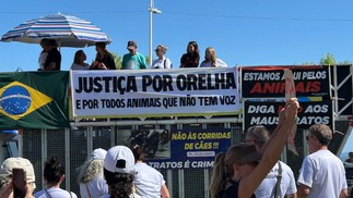 Protestos por morte do cão Orelha em Florianópolis — Foto: Beatriz Fávere/Arquivo pessoal