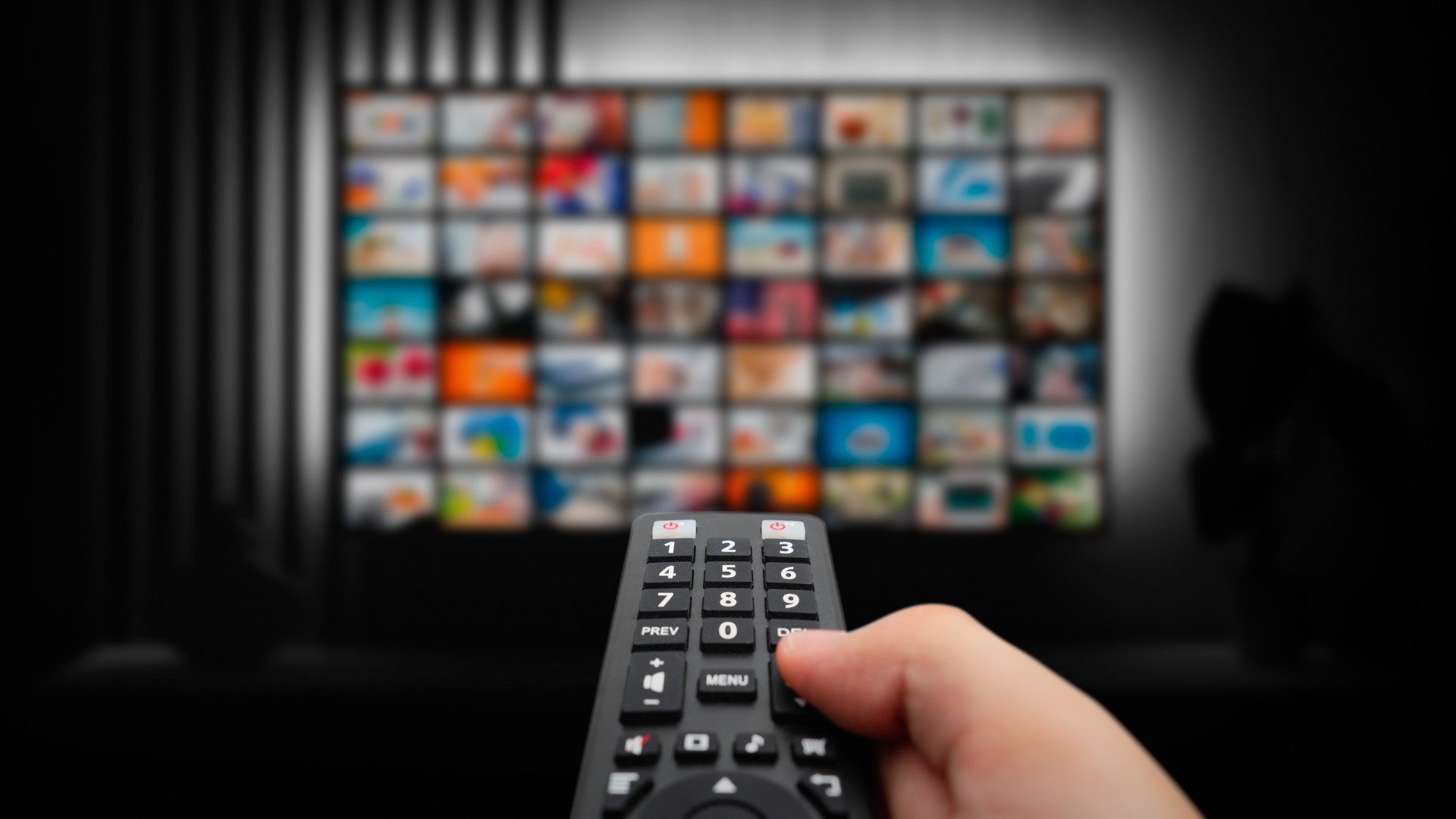Veja ranking: pesquisa revela os streamings mais populares - QTU Questões do Universo