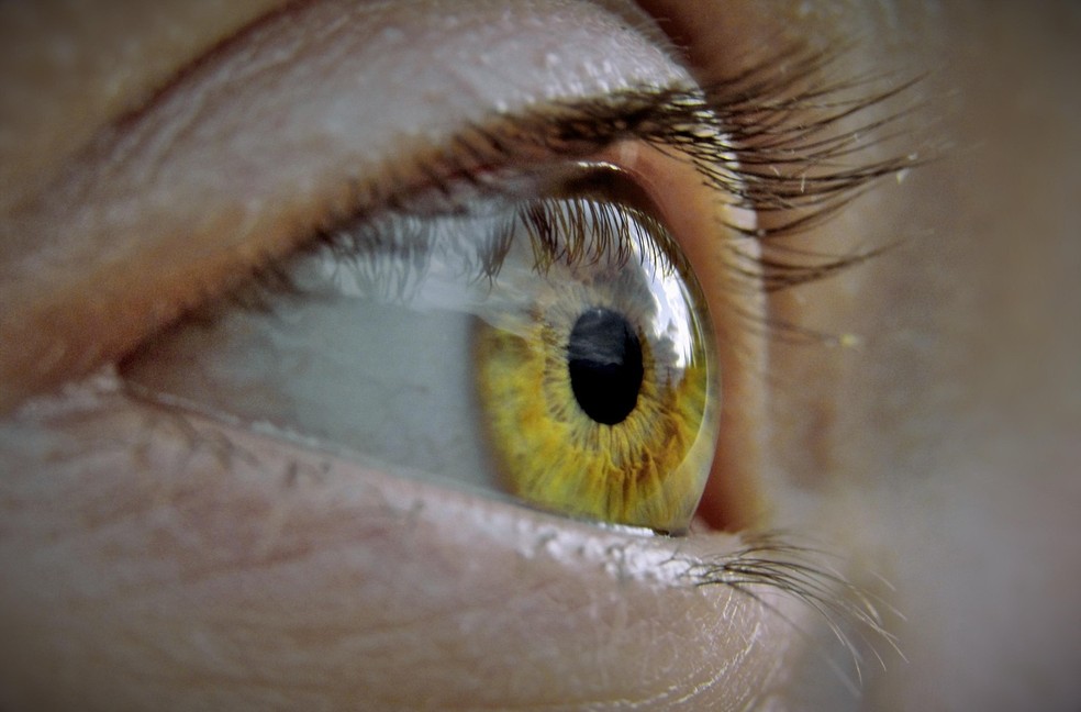 Olhos — Foto: Pixabay