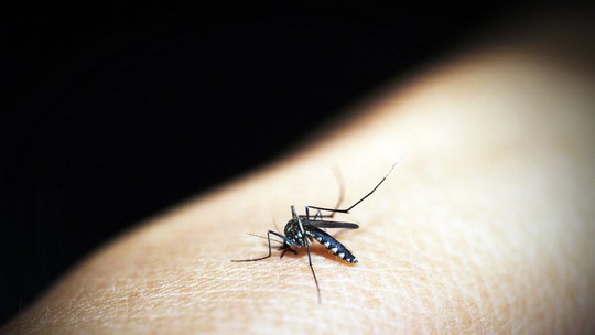 São Paulo registra milésima morte por dengue em 2024