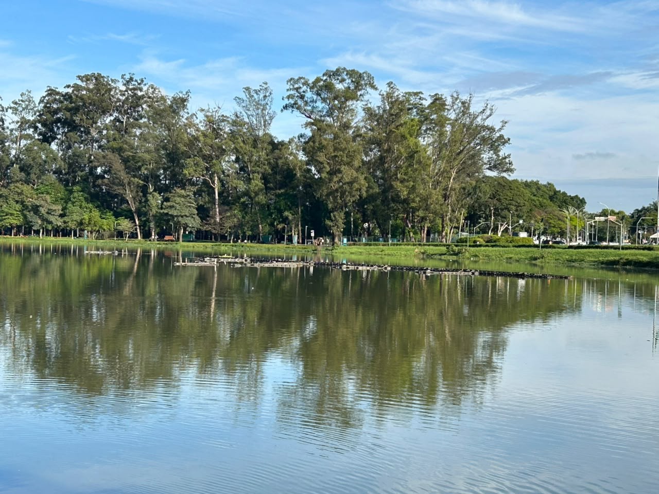 Após transbordamento, lago do Ibirapuera passa por trabalho de limpeza