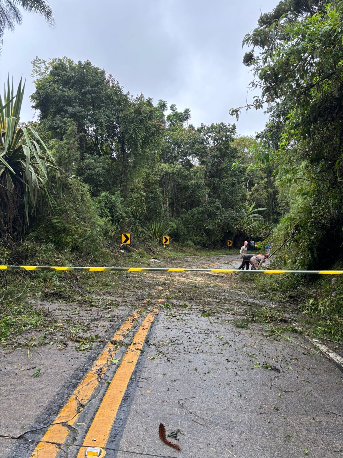 Turistas do Rock The Mountain enfrentam 8 horas de bloqueio na BR-495 ...