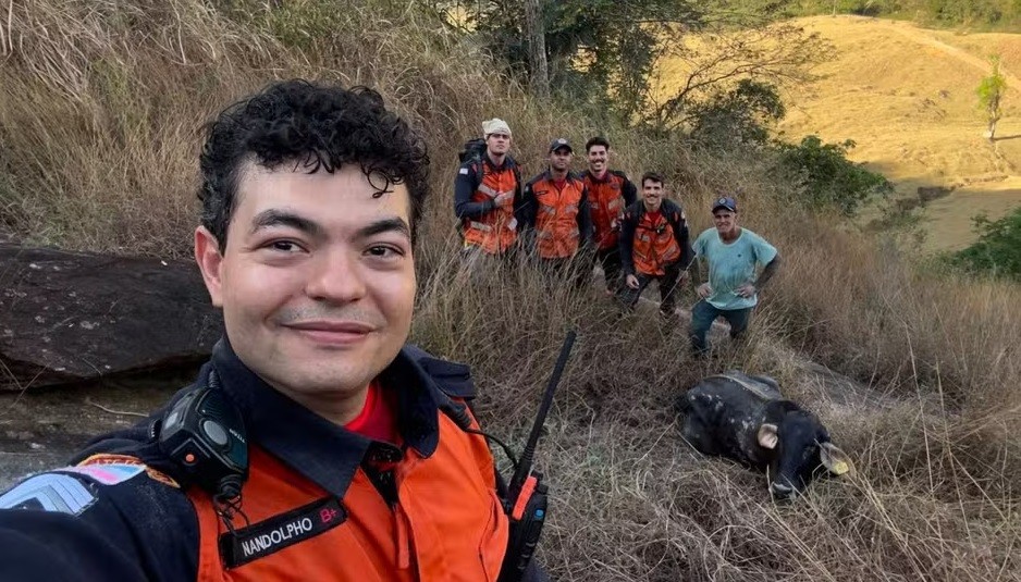 Novilha de quase 300kg é resgatada após passar dois dias presa em fenda de difícil acesso no ES