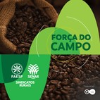 SAFRA DO CAFÉ