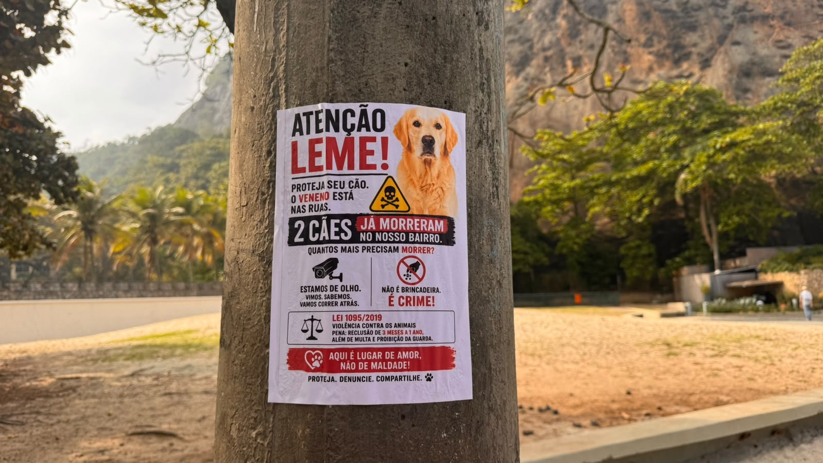 Moradores do Leme se mobilizam após suspeita de envenenamento de cães; relatos apontam duas mortes e uma internação - QTU Questões do Universo