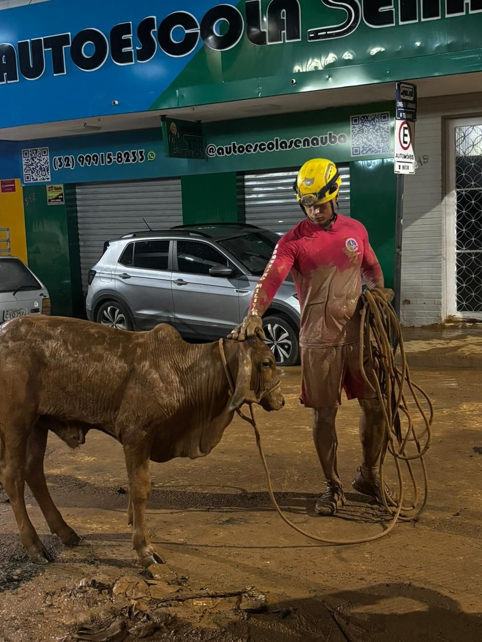 Resgate de animais em Minas Gerais — Foto: Divulgação/Corpo de Bombeiros