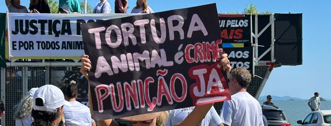 Protestos por morte do cão Orelha em Florianópolis — Foto: Beatriz Fávere/Arquivo pessoal