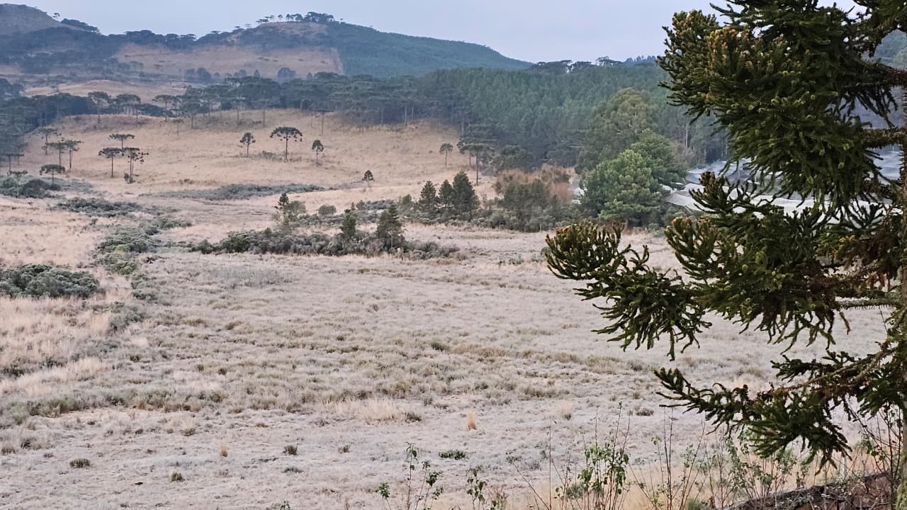 Termômetros registram -6,4º em Bom Jardim da Serra, menor temperatura do ano em Santa Catarina