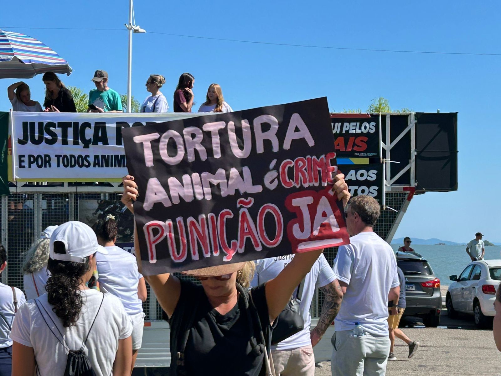Protestos por morte do cão Orelha mobilizam capitais neste fim de semana