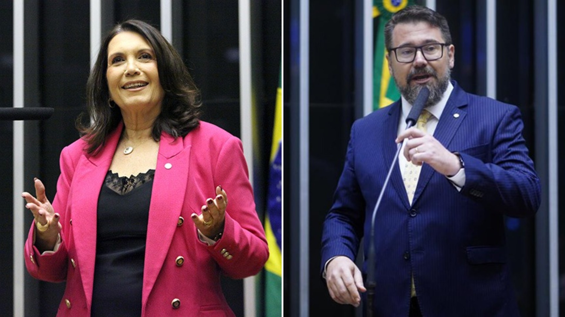 Dark Horse: Marcos Pollon e Bia Kicis assinaram emendas destinadas a organizações de produtora