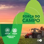 DIAGNÓSTICO DA ECONOMIA