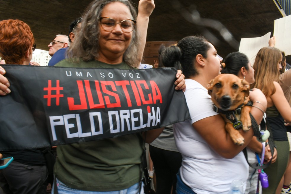 Protestos por morte do cão Orelha em São Paulo — Foto: Edi Sousa/Ato Press/Agência O Globo