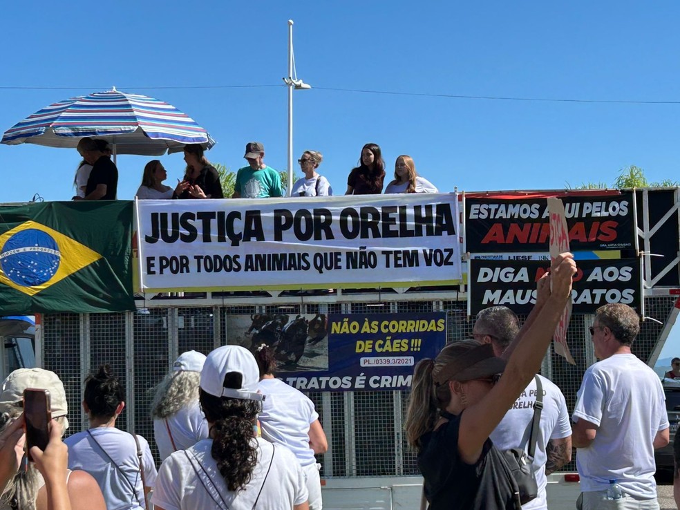 Protestos por morte do cão Orelha em Florianópolis — Foto: Beatriz Fávere/Arquivo pessoal