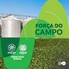 Os gargalos da armazenagem no Agronegócio